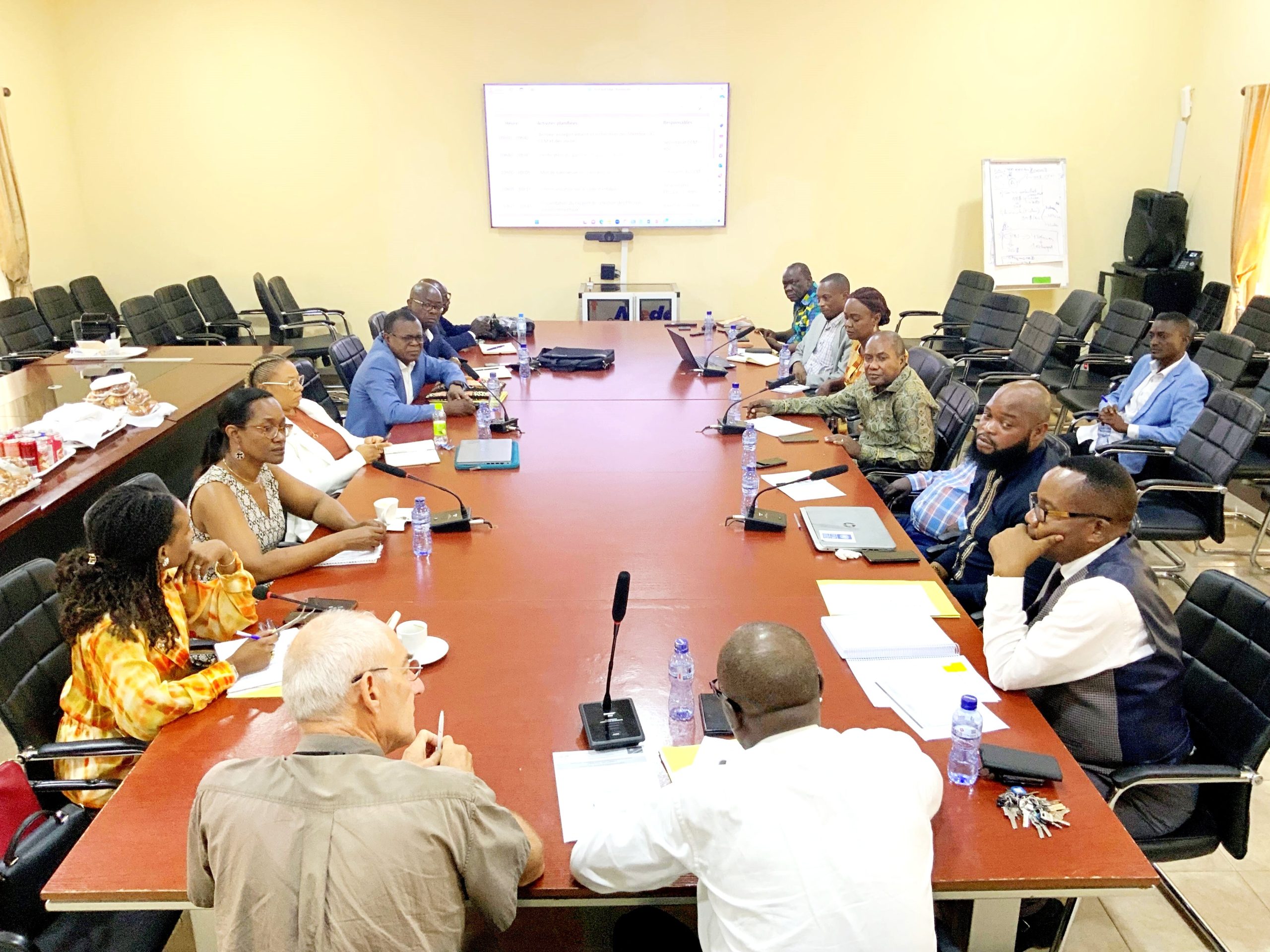 SELECTION DES RECIPIENDAIRES PRINCIPAUX (PR) NON GOUVERNEMENTAUX DES SUBVENTIONS DU FONDS MONDIAL DE LUTTE CONTRE LE SIDA, LA TUBERCULOSE ET LE PALUDISME EN RDC POUR 2024-2026