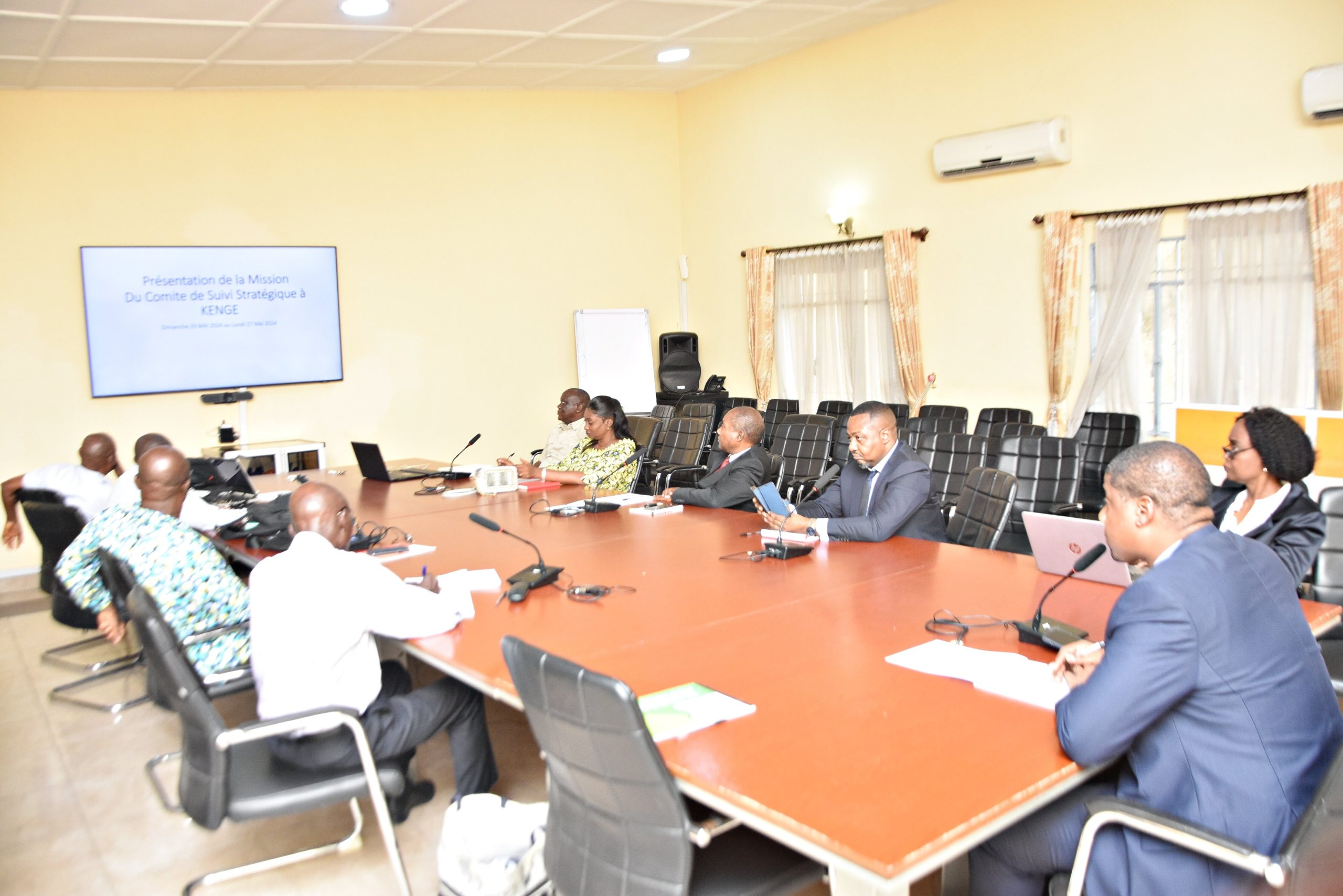 SEANCE DE TRAVAIL DU COMITE DE SUIVI STRATEGIQUE SUR LA CONSOLIDATION DES RAPPORTS DE VISITE DES SITES